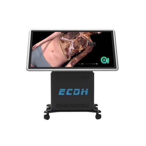 Tavolo anatomico educazione medica - ECDH-Int II 55 - Shandong Digihuman Technology CO., Inc. - per scuola di medicina / anatomia 3D / di formazione clinica