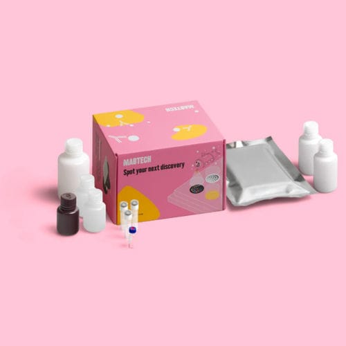 Kit di test da ricerca - 3560-1HP-DP-1 - Mabtech - del fattore reumatoide / di siero / al plasma