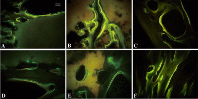 Reagente fattore di crescita - PR27023 - Neuromics - per ricerca scientifica / liofilizzato / BMP-2