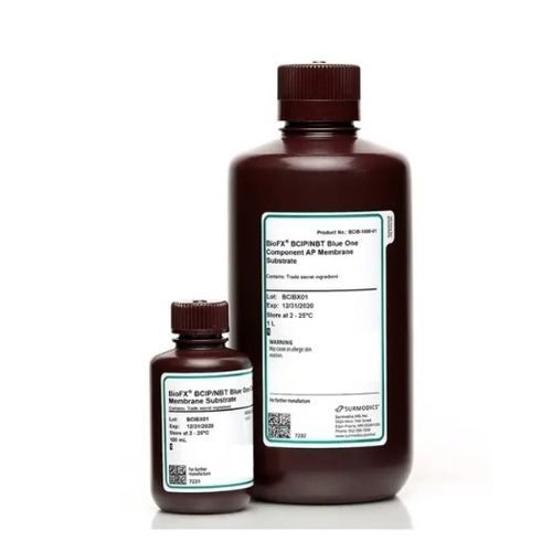 Reagente enzima - BCIB-0100-01 - Surmodics IVD, Inc. - per western blot