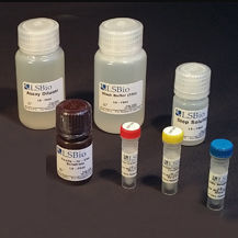 Kit di test da ricerca - LS-K289 - LifeSpan BioSciences - dell'intolleranza al lattosio / per alimenti / a fluorescenza