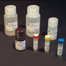 Kit di test da ricerca - LS-K302 - LifeSpan BioSciences - per la scoperta di nuovi farmaci / di glicerolo / trigliceridi