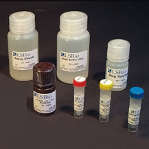 Kit di test della creatina chinasi - LS-K311 - LifeSpan BioSciences - da ricerca / per farmacologia / di creatinfosfochinasi