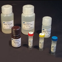 Kit di test del colesterolo - LS-K304 - LifeSpan BioSciences - da ricerca / per farmacologia / di NAD