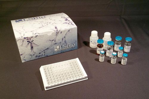 Kit di test da ricerca - LS-F15896 - LifeSpan BioSciences - ELISA / colorimetrico / liofilizzato