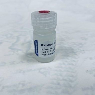 Reagente in soluzione - RPU40003 - Biomatik - da ricerca / liofilizzato / di proteine