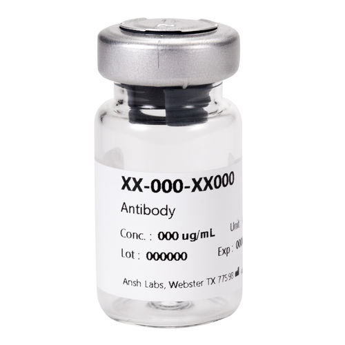 Reagente anticorpo monoclonale - AB-306-AA042 - Ansh Labs - activina B / da ricerca / per western blot