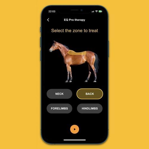 Applicazione mobile kinesioterapia - EQ Veterinary Technologies - per equini / di controllo / di trattamento