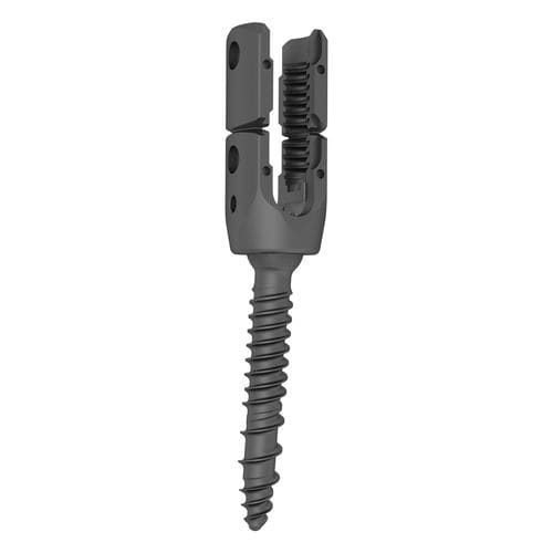 Vite peduncolare toraco-lombare - 324017 series - Boneunion Medical - poliassiale / in titanio