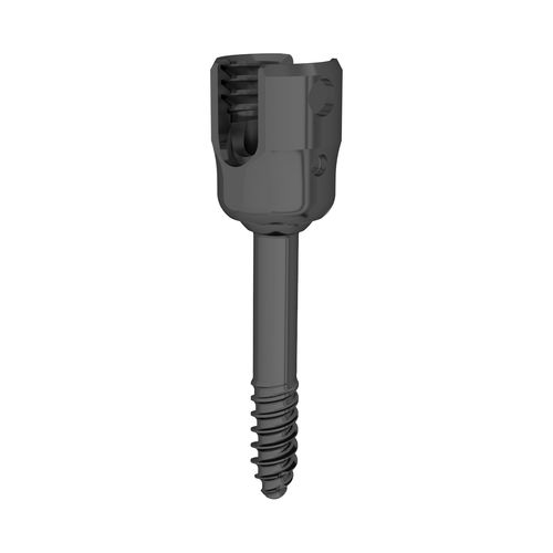 Vite peduncolare cervicale - 323337 series - Boneunion Medical - poliassiale / in titanio
