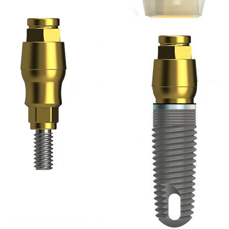 Pilastro dentale per impianto in titanio - ORBIT  Zimmer® - BIONICA - interno / dritto / a vite