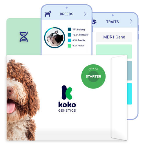 Kit di test DNA genomico - GENELINK S.L. - veterinario / per cani / genetico