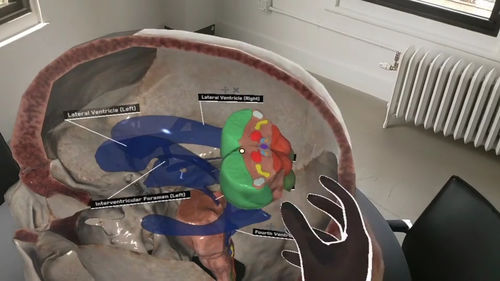 Piattaforma di realtà virtuale immersiva - AnatomyX® - MEDIVIS - medica / per la formazione medica