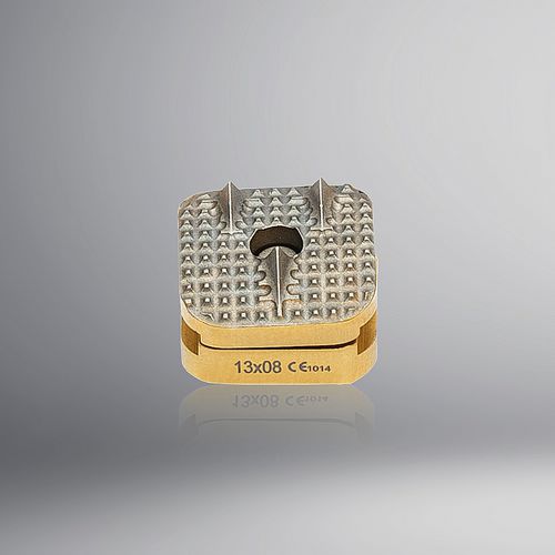 Protesi di disco cervicale - Karmed Health Products