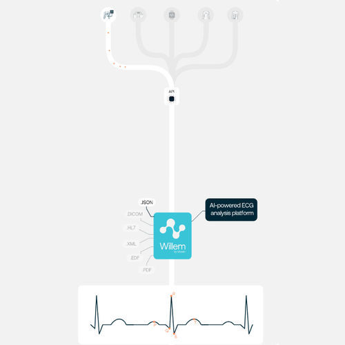 Piattaforma AI per il settore medico - Willem - Idoven - per cardiologia / diagnostica / di analisi