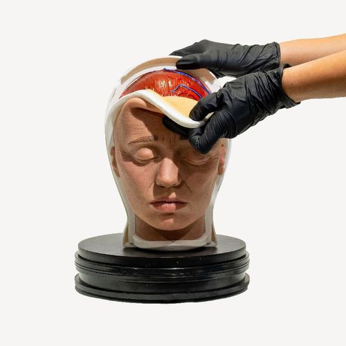 Simulatore didattico - Relamed simulators - per chirurgia / di testa