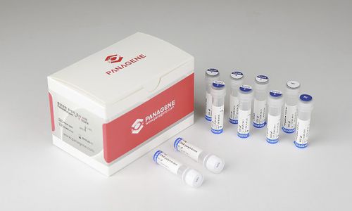 Kit di reagenti in soluzione - PANAMutyper™ R - HLB PANAGENE Co., Ltd. - del cancro del polmone / di piombo / EGFR