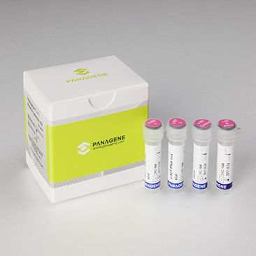 Kit di test oncologico - PNAClamp™ - HLB PANAGENE Co., Ltd. - di oncologia / per tessuti / per PCR real-time