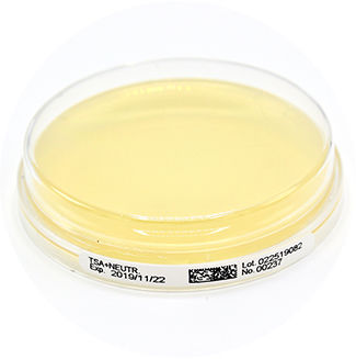 Piastra Petri con agar - 15336S - Liofilchem S.r.l.