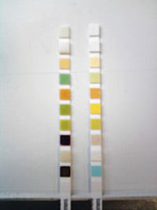 Striscia analitica di malattie urologiche - DIRUI H10 - Futura System Group S.r.l. - di urina / striscia reattiva