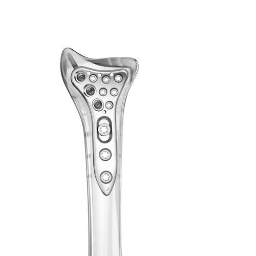 Placca di compressione per radio - 0401-0000:0001-02 - Aplus Biotechnology - distale / bloccata / in titanio