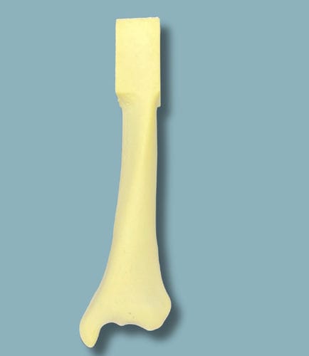 Modello anatomico di tibia - 03-15-01 - ADDIDREAM - didattico / in espanso / giallo
