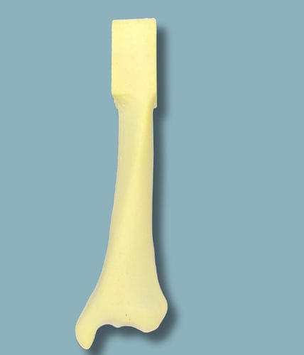 Modello anatomico di tibia - 03-16-01 - ADDIDREAM - per chirurgia / didattico / in espanso