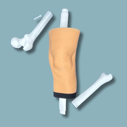 Modello anatomico per ginocchio - 04-10-02 - ADDIDREAM - di tibia / di femore / per chirurgia
