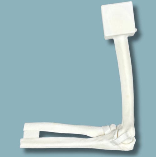 Modello anatomico di gomito - 14-01-01 - ADDIDREAM - per chirurgia / didattico / in plastica