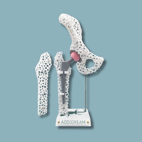 Modello anatomico di anca - 07-AF-01 - ADDIDREAM - di emibacino / di femore / di dimostrazione