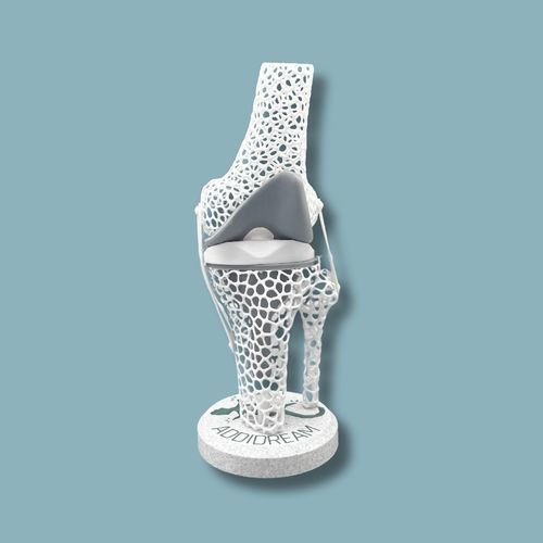 Modello anatomico per ginocchio - 04-AD-01 - ADDIDREAM - di tibia / di femore / di dimostrazione