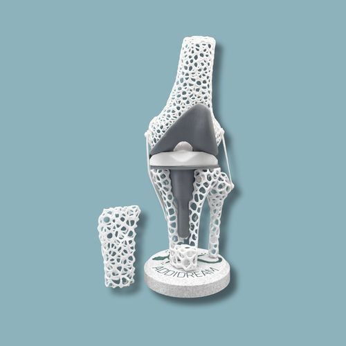 Modello anatomico per ginocchio - 04-AF-01 - ADDIDREAM - di tibia / di femore / di dimostrazione