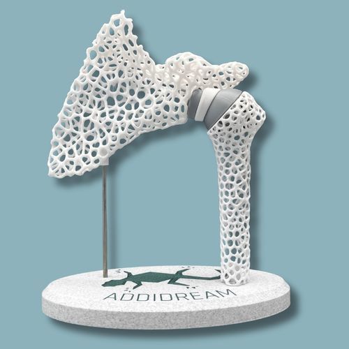Modello anatomico di spalla - 17-AD-01 - ADDIDREAM - di omero / di dimostrazione / in plastica