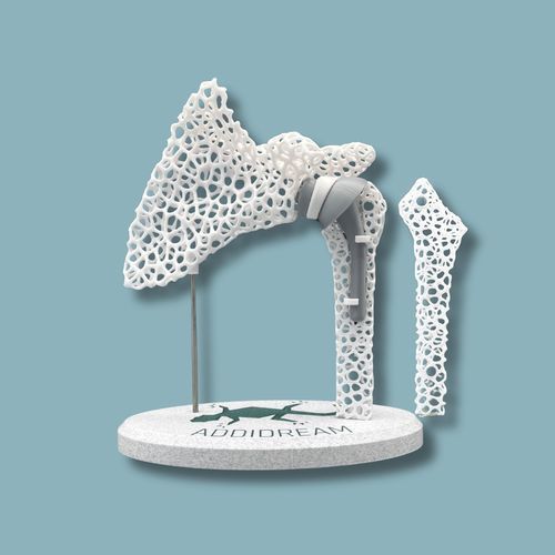 Modello anatomico di spalla - 17-AF-01 - ADDIDREAM - di omero / di dimostrazione / in plastica