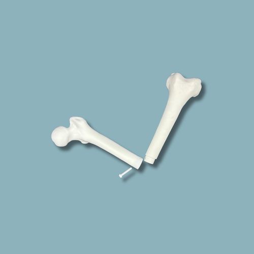 Modello anatomico di femore - 05-08-02 - ADDIDREAM - per chirurgia / didattico / in plastica