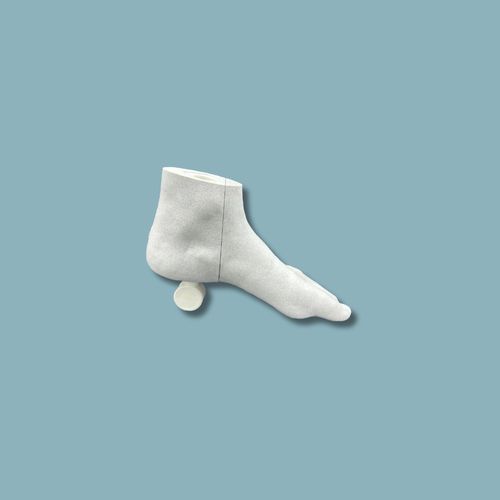 Modello anatomico per ginocchio - K4B-C4 - ADDIDREAM - osseo / per chirurgia ortopedica / didattico