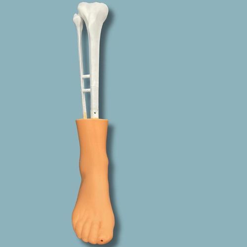 Modello anatomico della pelle - 02-01-03 - ADDIDREAM - di tibia / di piede / di caviglia