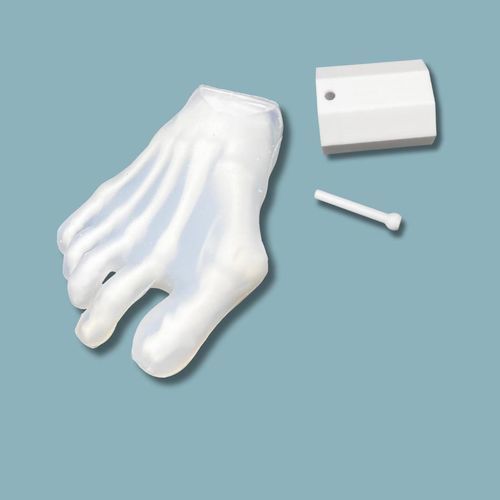 Modello anatomico in kit - 01-44-01 - ADDIDREAM - di piede / in plastica / trasparente