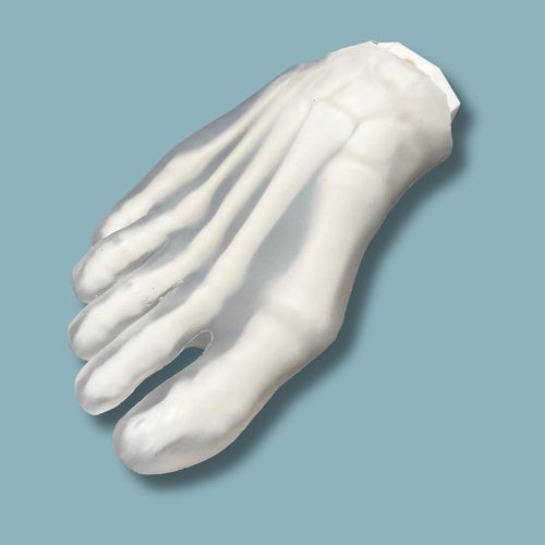 Modello anatomico di piede - 01-49-01 - ADDIDREAM - in plastica / trasparente