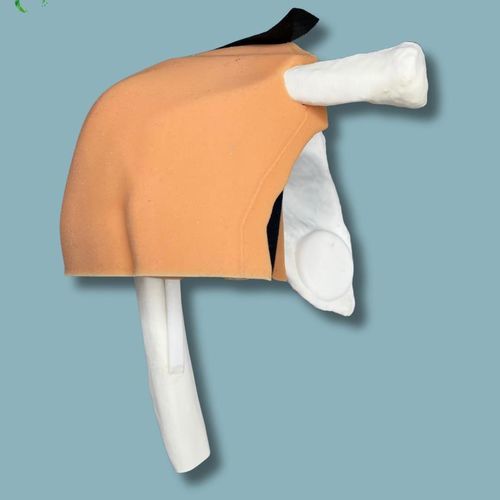 Modello anatomico di spalla - 16-10-01 - ADDIDREAM - di scapola / di osso spugnoso / di articolazione