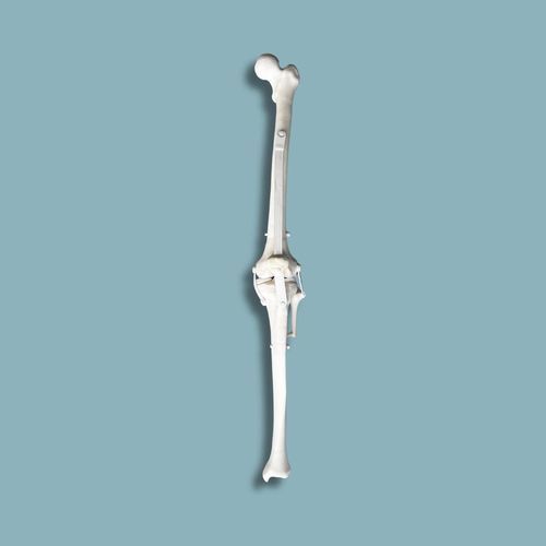 Modello anatomico per ginocchio - 04-36-01 - ADDIDREAM - di rotula / di osso spugnoso / di tibia