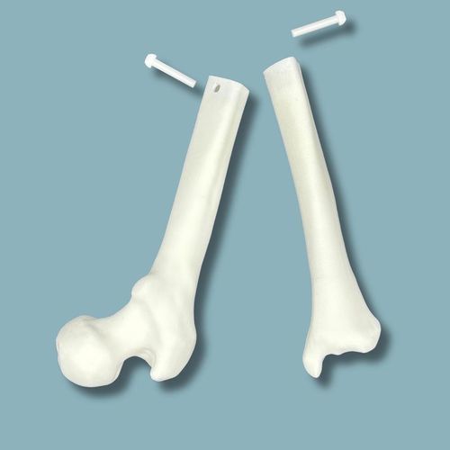 Modello anatomico per ginocchio - 04-39-01 - ADDIDREAM - di tibia / di femore / per artroscopia