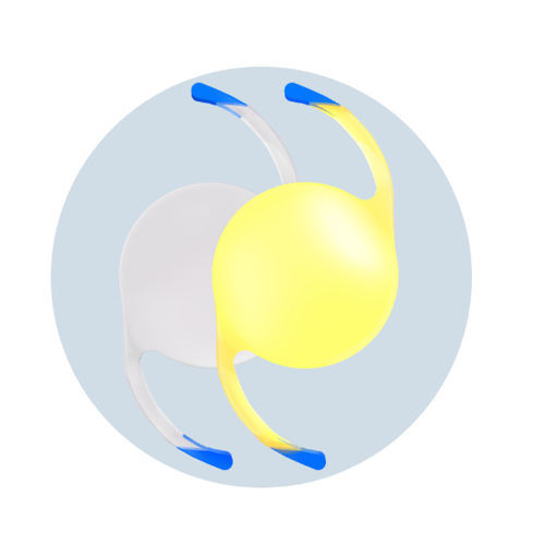 Lente intraoculare monofocale - iSert® - HOYA Medical Singapore - PMMA