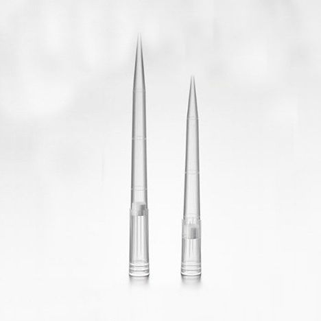 Puntale di pipetta sterile - PPT151010 - AKRALAB