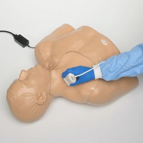 Phantom di calibrazione per ecografia - Elevate Healthcare - di torso / tiroide