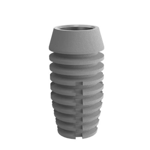 Impianto dentale conico - 2.5 well  - DentalMaster (Xiamen) Medical Technology Co., Ltd - in titanio / interno / anatomico