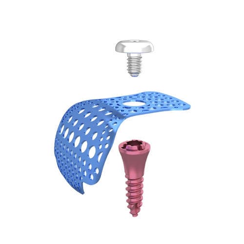 Vite di transfissazione in titanio - DentalMaster (Xiamen) Medical Technology Co., Ltd - a vite / liscia
