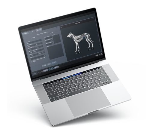 PACS con cloud computing - Voyance&reg; - Medicatech USA - per diagnostica per immagini / veterinario / clinico