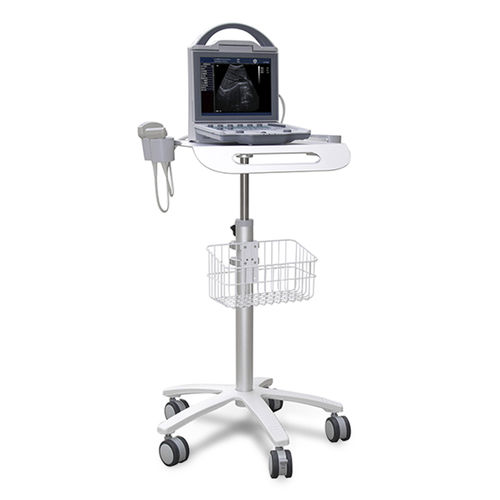 Ecografo portatile con carrello - YSB5600 - YSENMED - per ecografia multidisciplinare / in bianco e nero / con console integrata