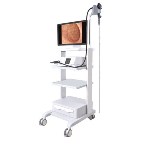Gastroscopio veterinario video - YSVET-GU160H - YSENMED - per bovini / per equini / per cani